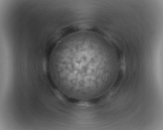 X0000114430519200910231236