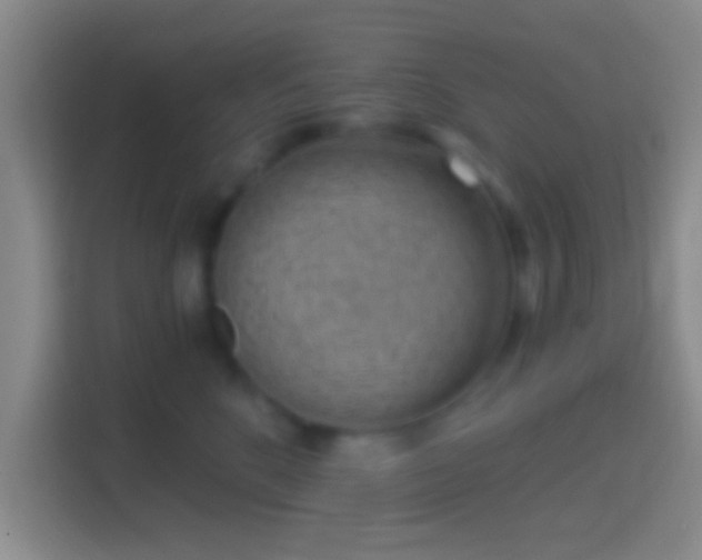 X0000114430520200910231236
