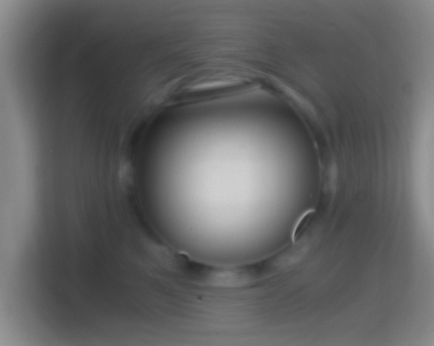 X0000114430521200910231236