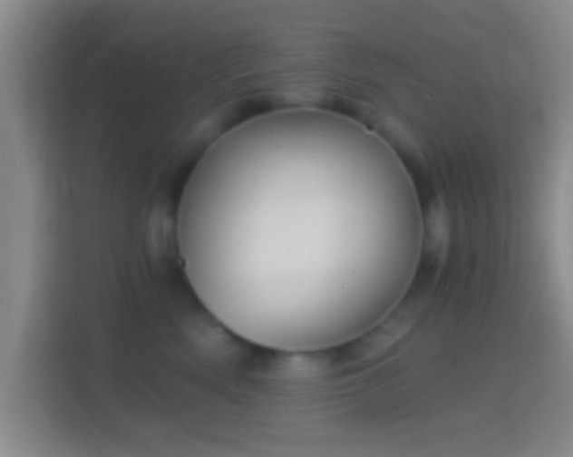 X0000114430522200910231236
