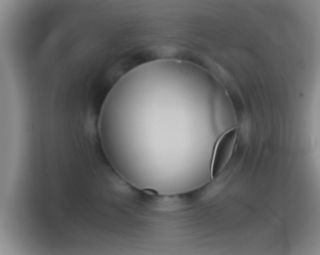 X0000114430525200910231236