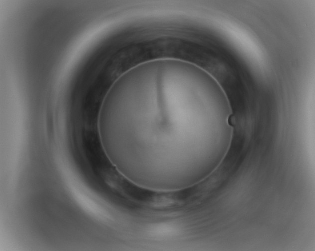 X0000114430526200910231236