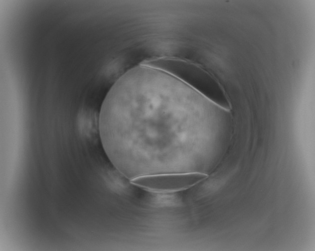 X0000114430528200910231236
