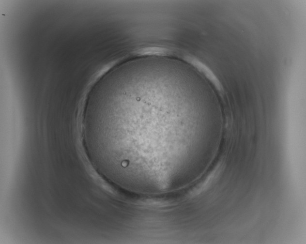 X0000114430529200910231235