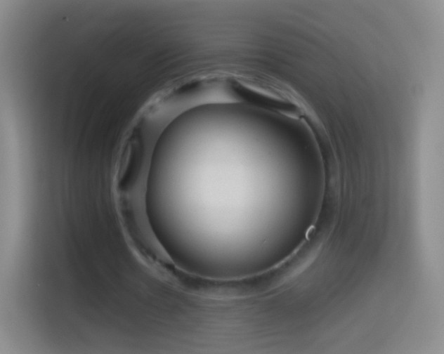 X0000114430530200910231235