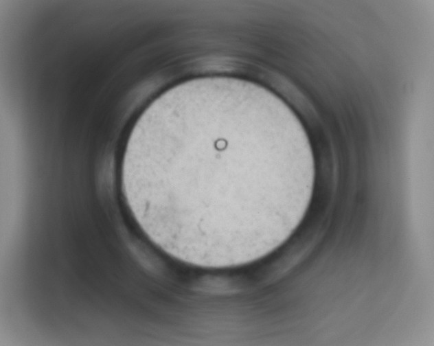 X0000114430534200910231235