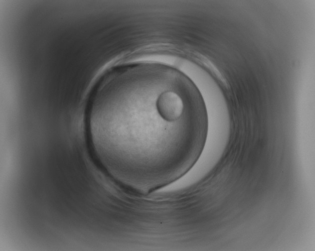 X0000114430535200910231235