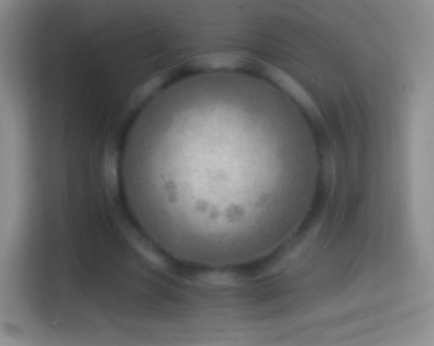 X0000114430537200910231235