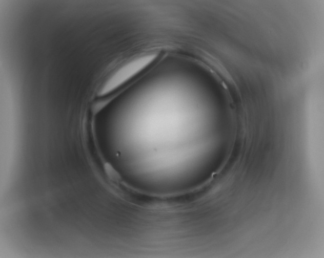 X0000114430538200910231235