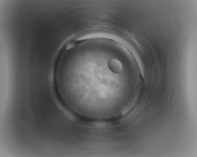 X0000114430539200910231235