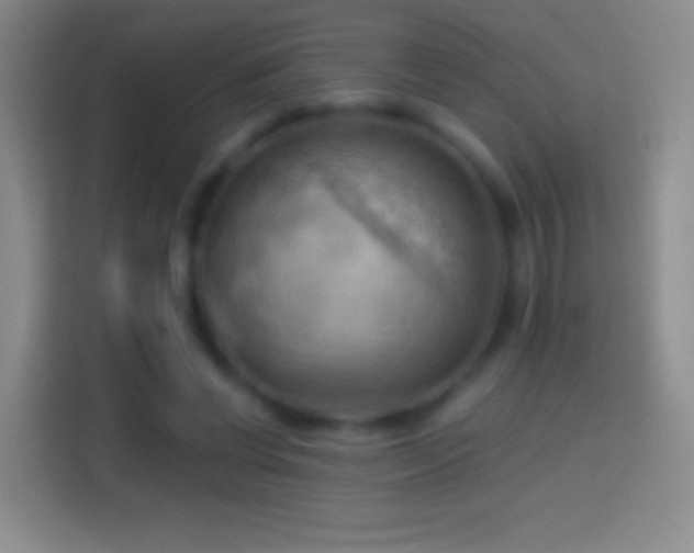 X0000114430542200910231236