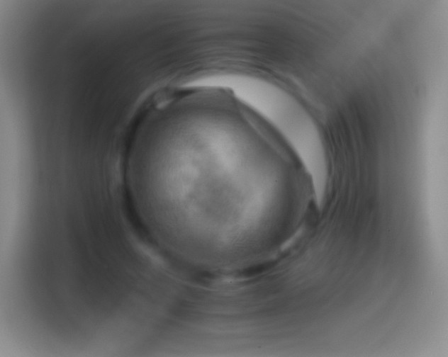 X0000114430543200910231236