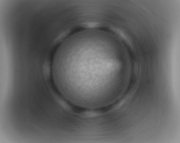 X0000114430545200910231236