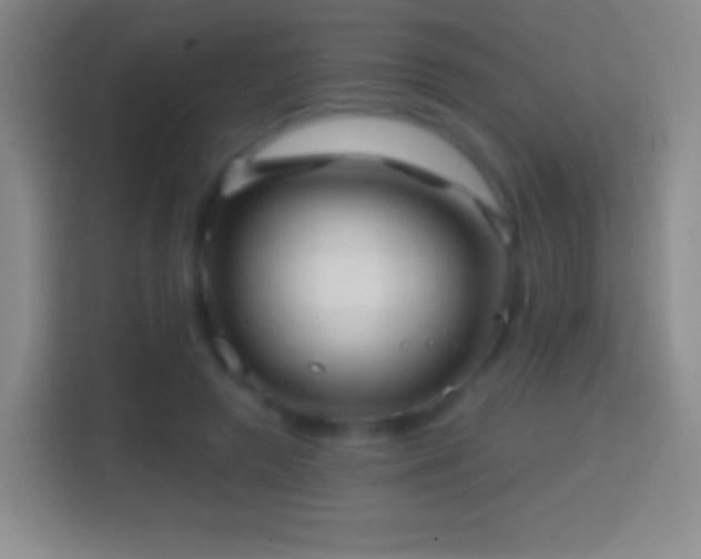 X0000114430546200910231236