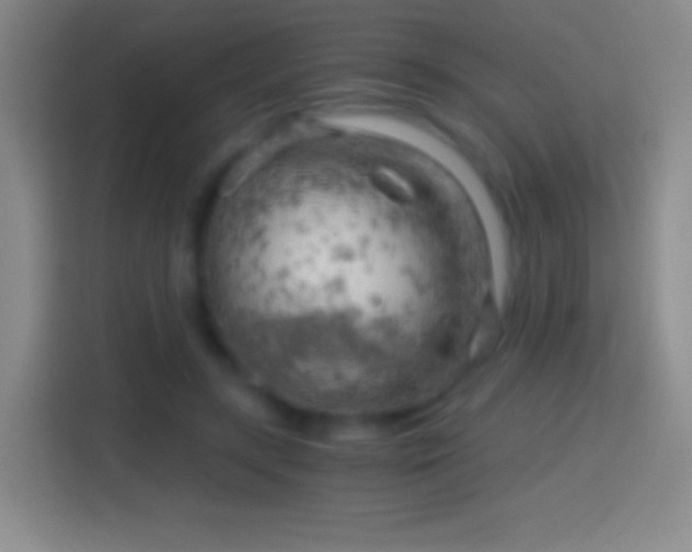 X0000114430547200910231236