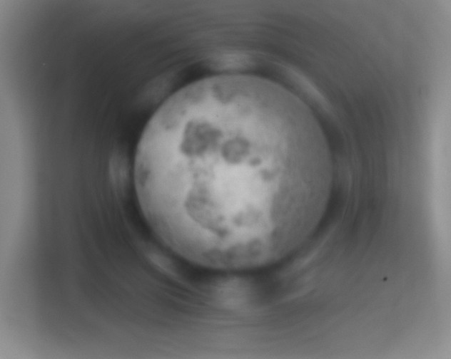 X0000114430549200910231236