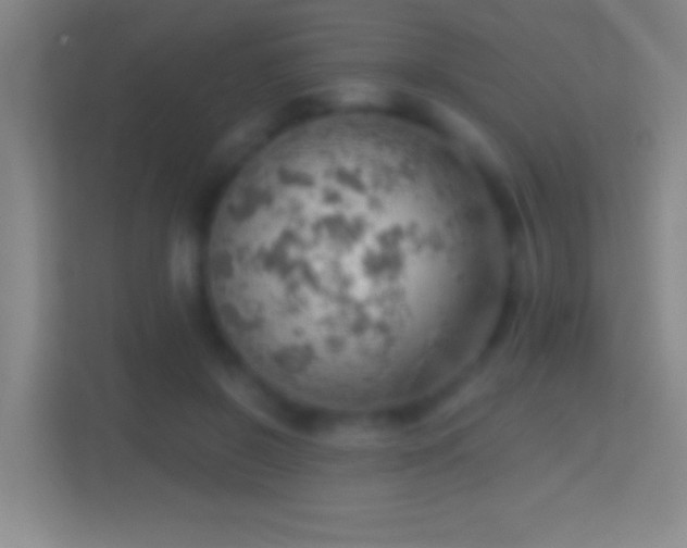 X0000114430550200910231236