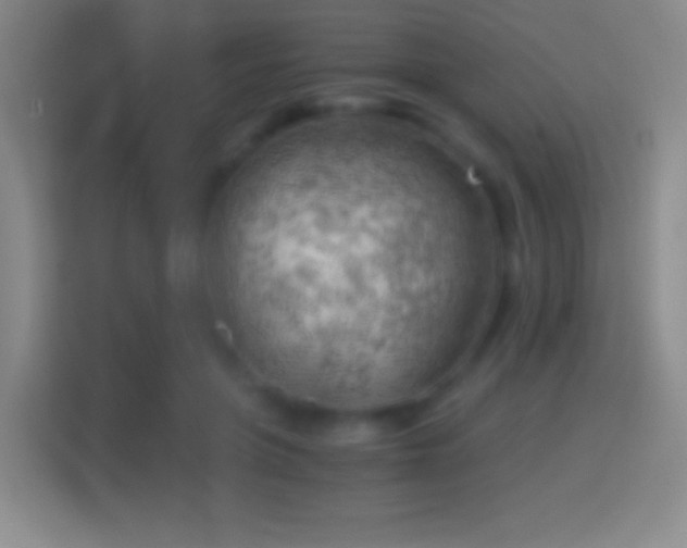X0000114430551200910231236