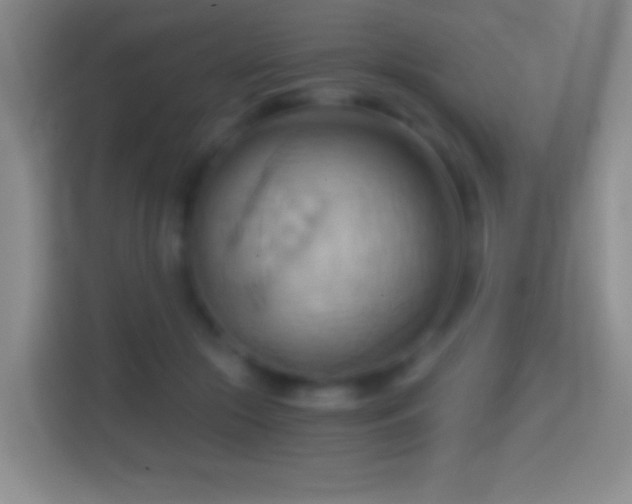X0000114430553200910231236