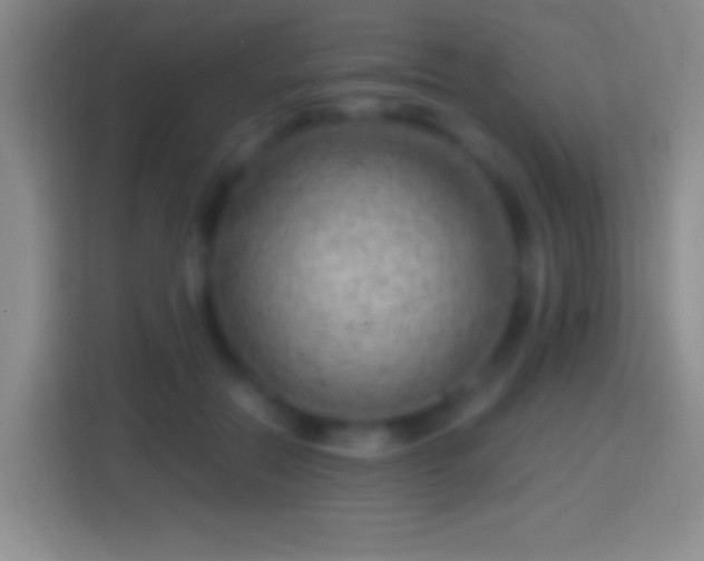 X0000114430554200910231236