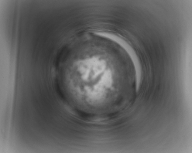 X0000114430555200910231236