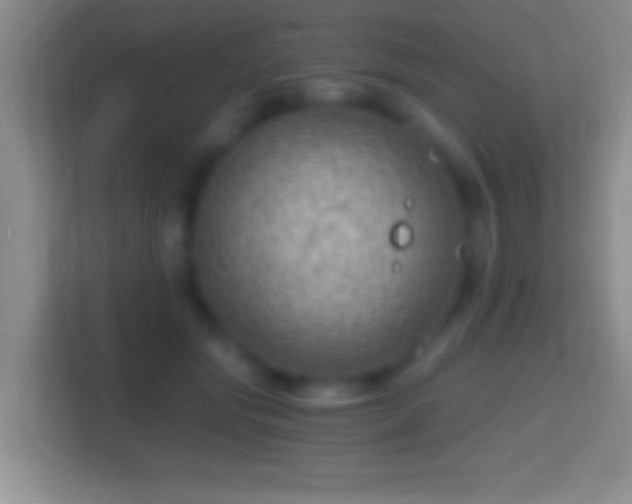 X0000114430557200910231236
