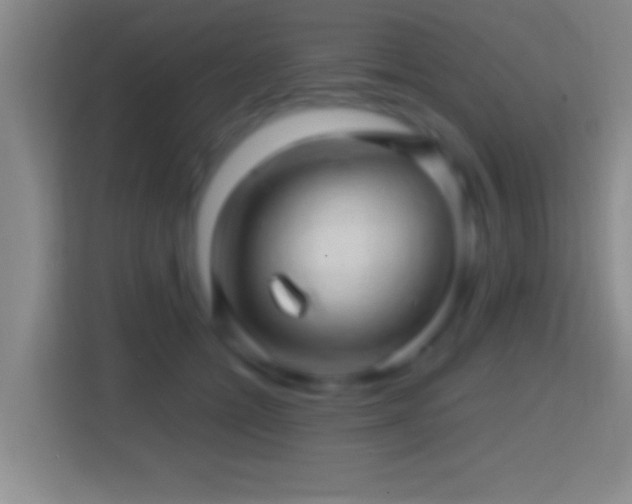 X0000114430558200910231236