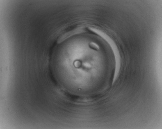 X0000114430559200910231236