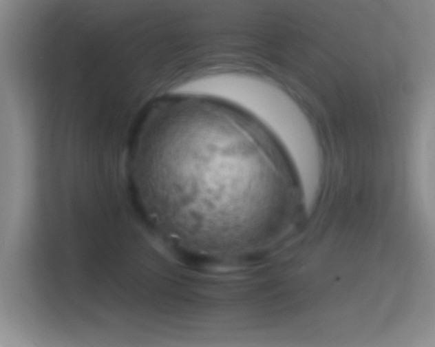 X0000114430563200910231236