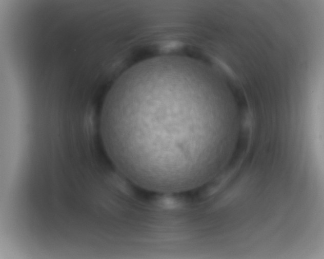 X0000114430565200910231236
