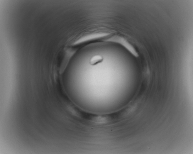 X0000114430566200910231236