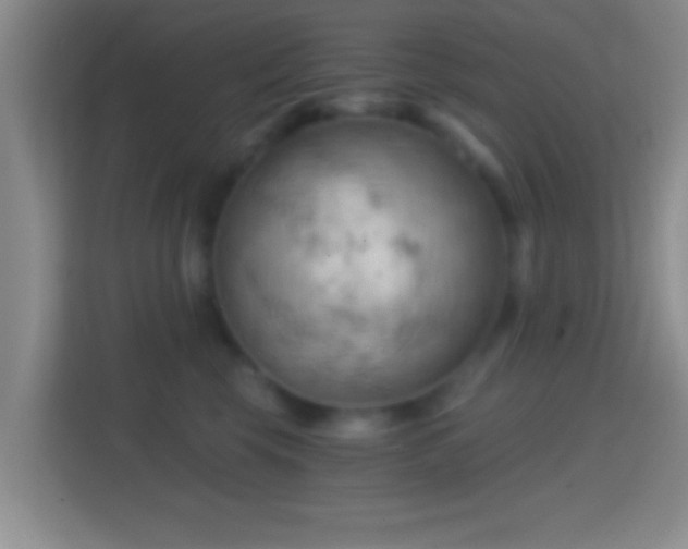 X0000114430569200910231236