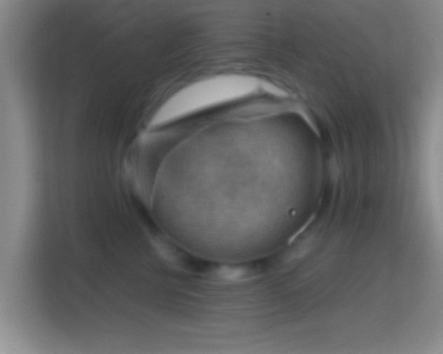 X0000114430570200910231236