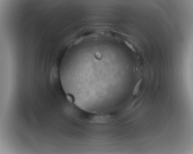X0000114430571200910231236