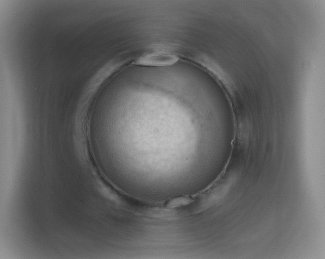 X0000114430577200910231235
