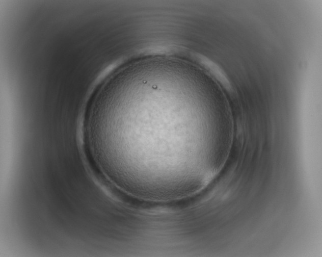 X0000114430578200910231235