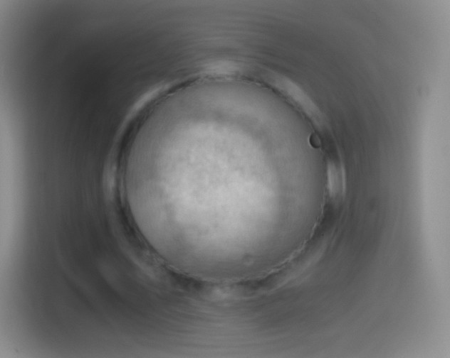 X0000114430579200910231235