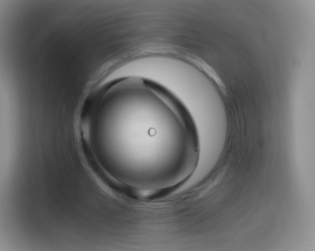 X0000114430581200910231235