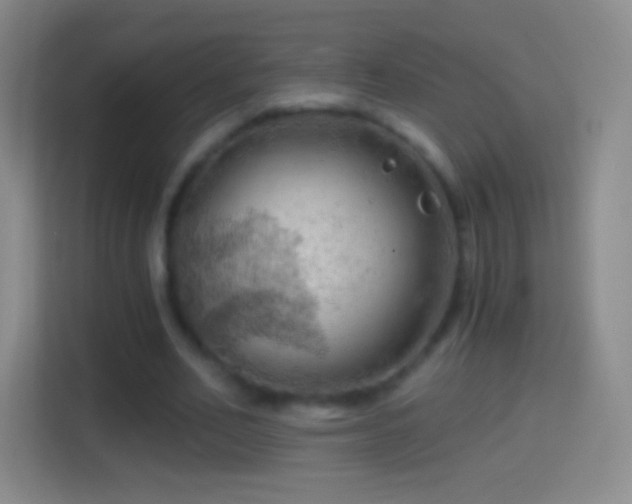 X0000114430582200910231235