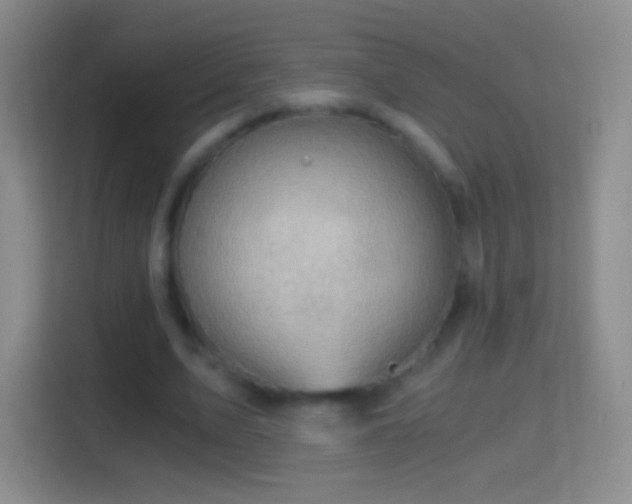 X0000114430583200910231235