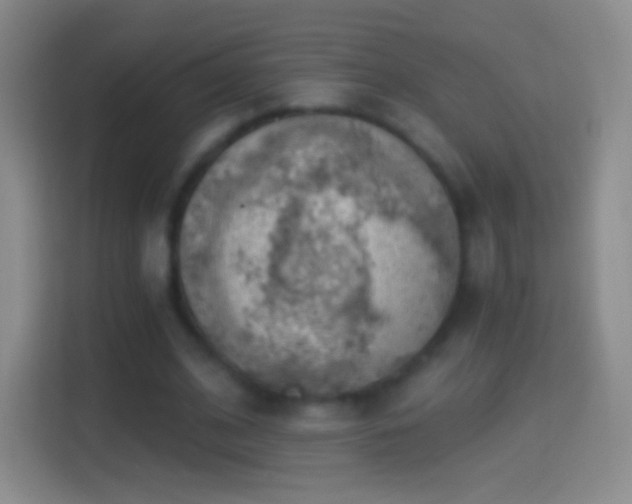 X0000114430584200910231235