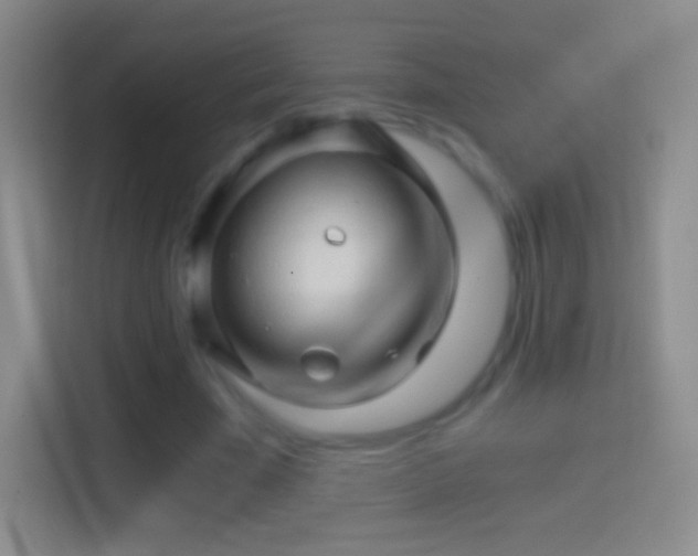 X0000114430585200910231235