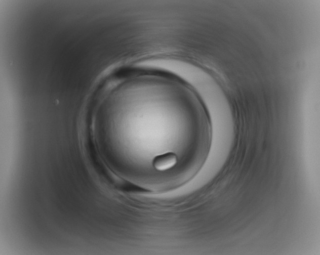 X0000114430587200910231235