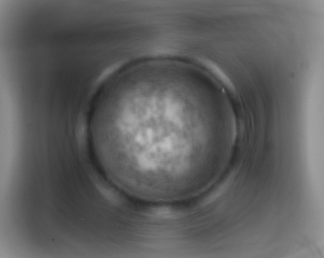 X0000114430588200910231235