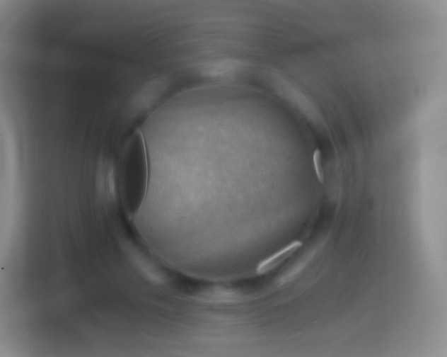 X0000114430589200910231235