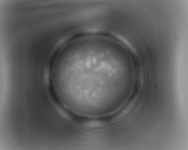 X0000114430590200910231235