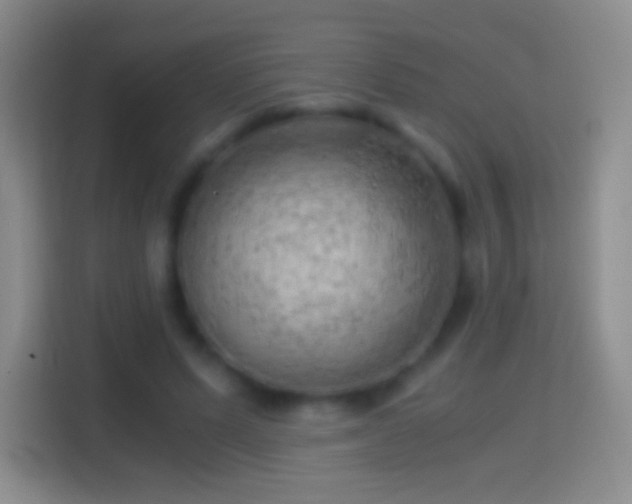 X0000114430591200910231235