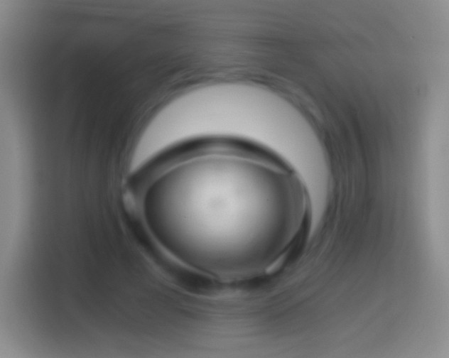 X0000114430593200910231235