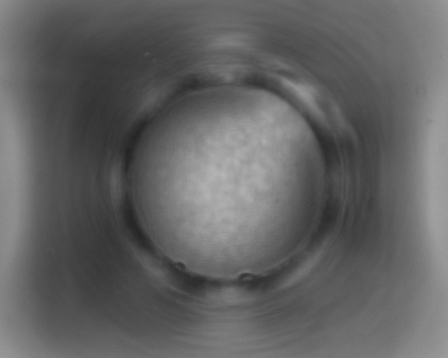 X0000114430594200910231235