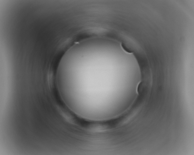 X0000114430597200910231235